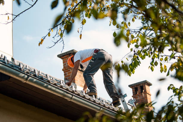 Roof Gutter Cleaning in Calvert, TX